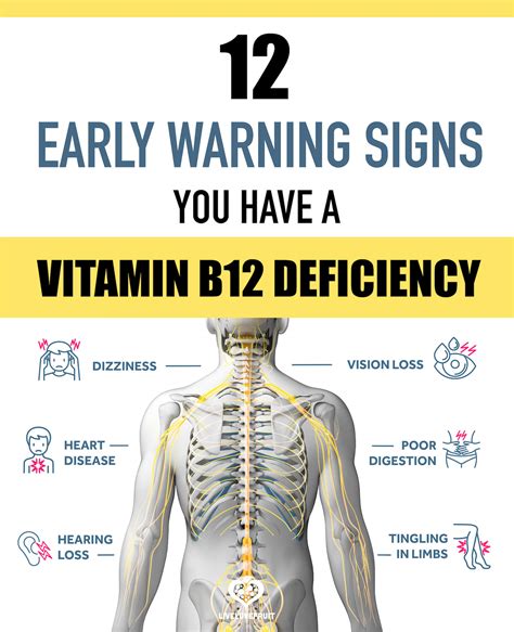 22 nov. . Vitamin b for derealization